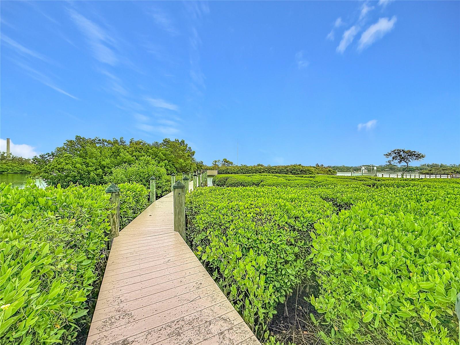 Experience the enchanting journey to your slice of paradise as you walk down this beautiful pathway, surrounded by nature's beauty. With soothing views of the water and mangroves on either side, it's a heartfelt reminder of the peaceful life that awaits you at the dock.