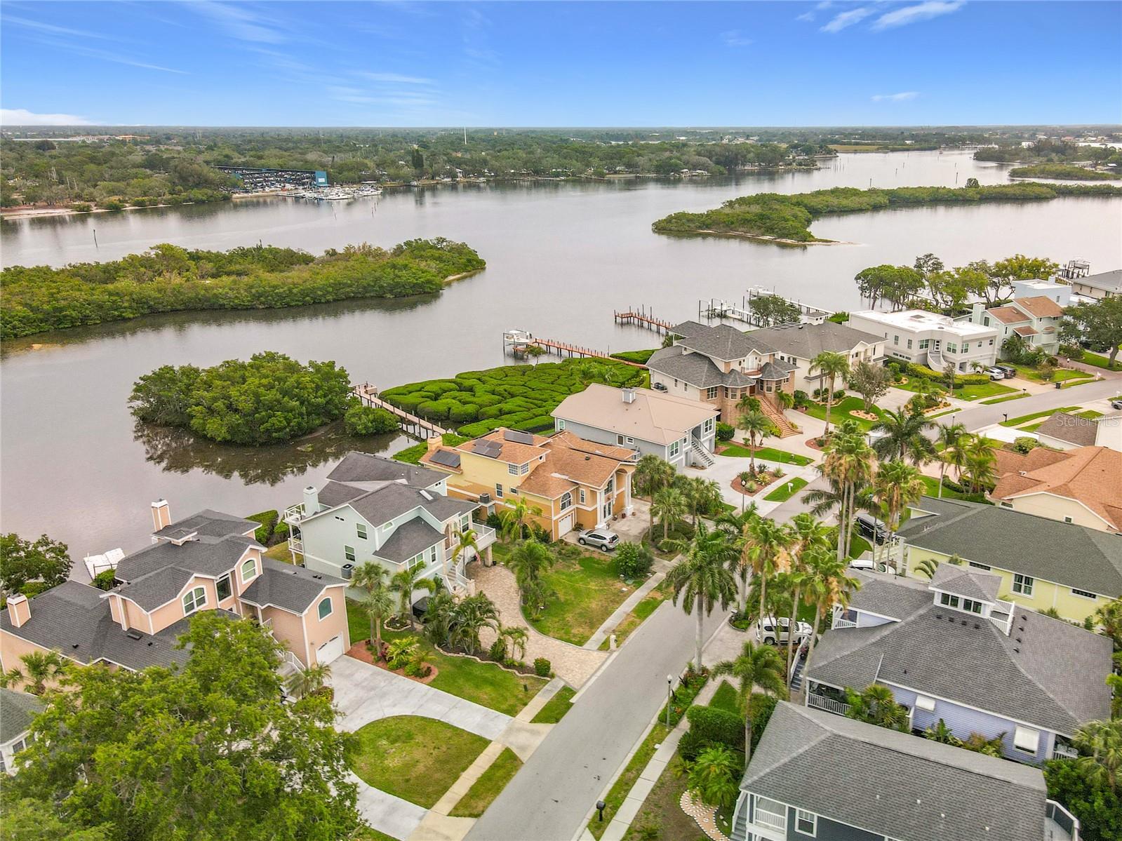 Views if the intercostal