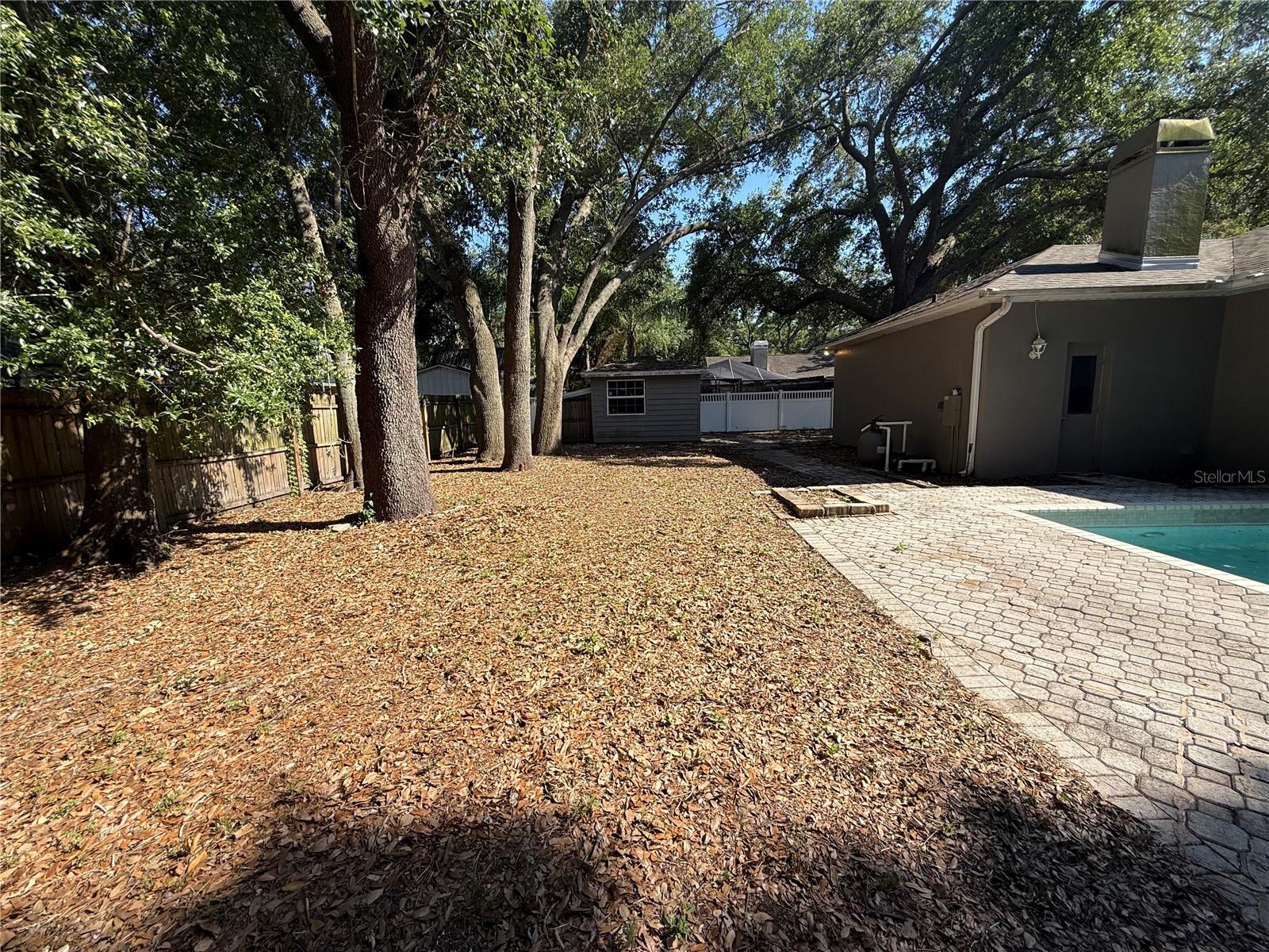 back yard
