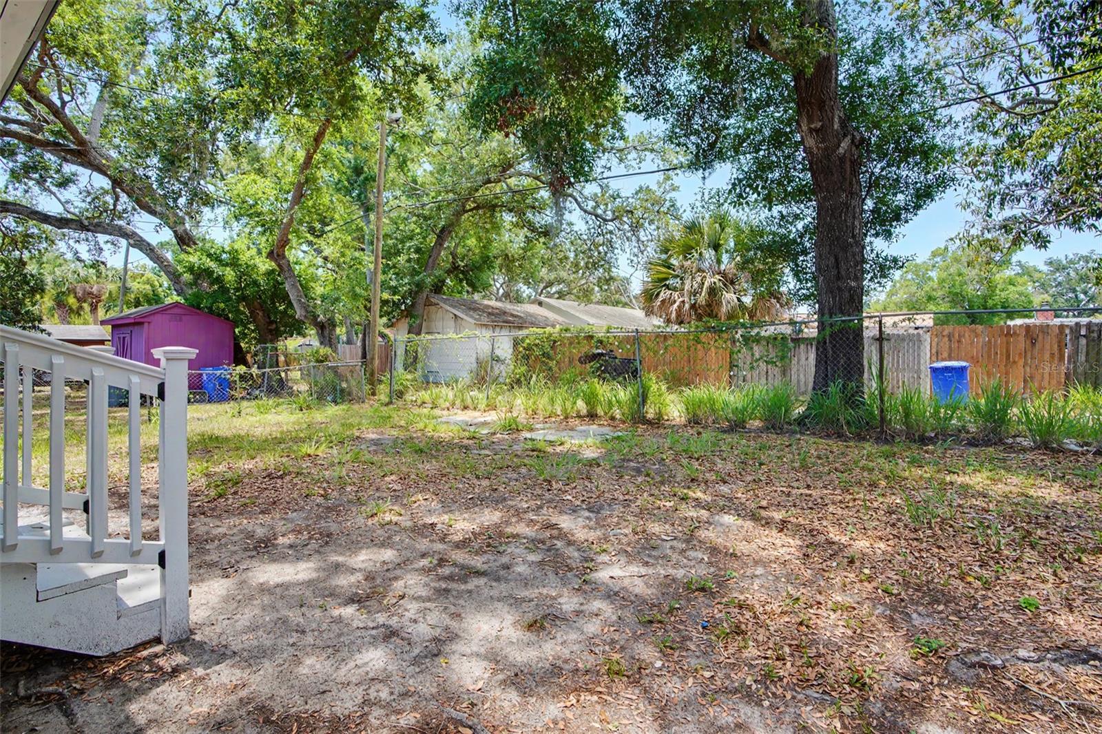 Back Yard