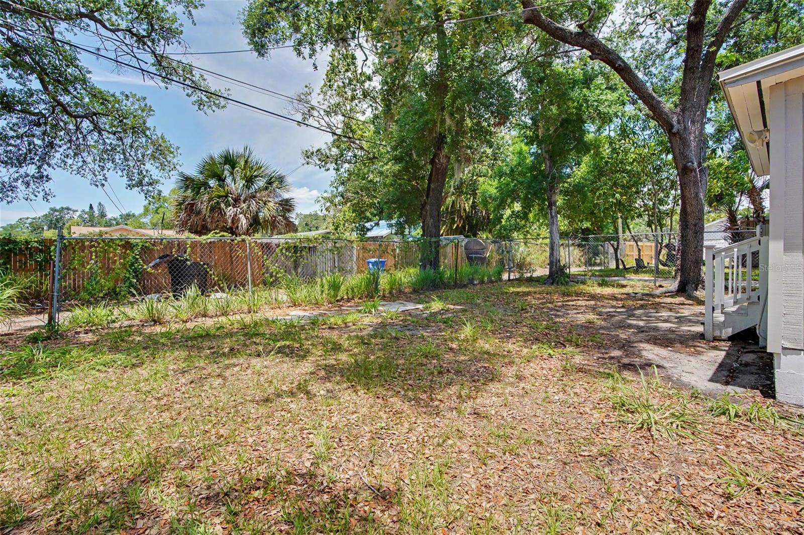 Back yard