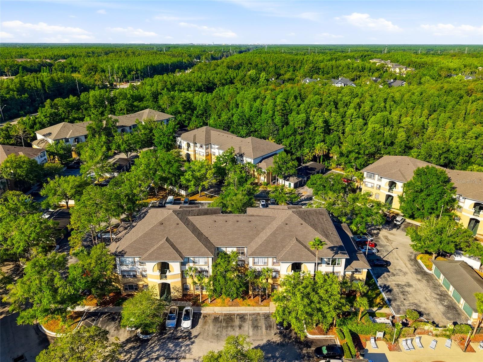 Gorgeous Tampa Palms Community
