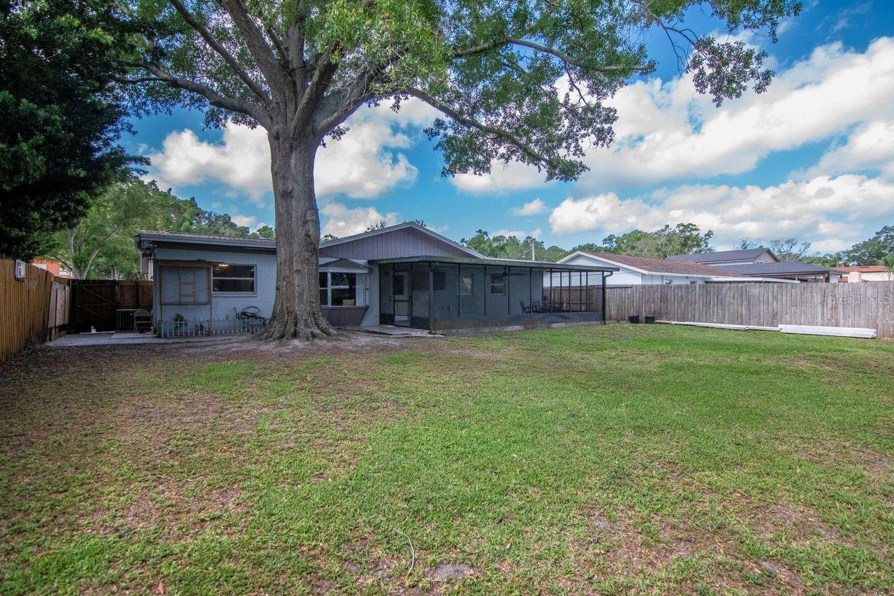 Wide Open Backyard