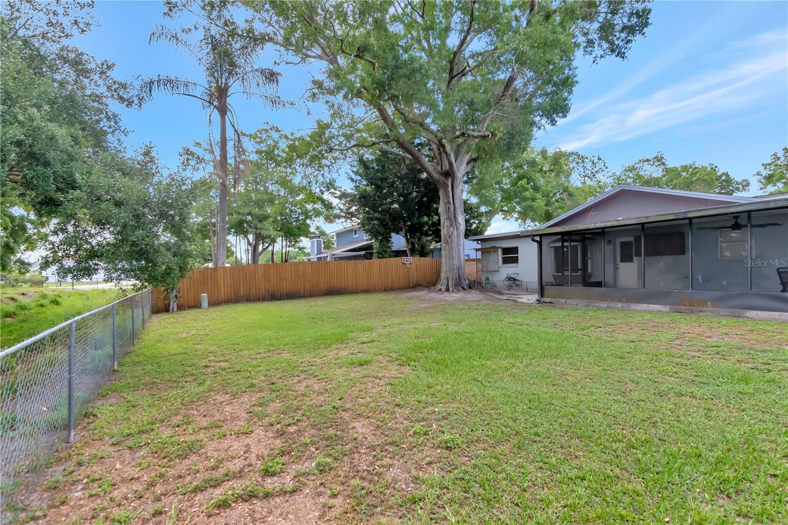 Wide Open Backyard