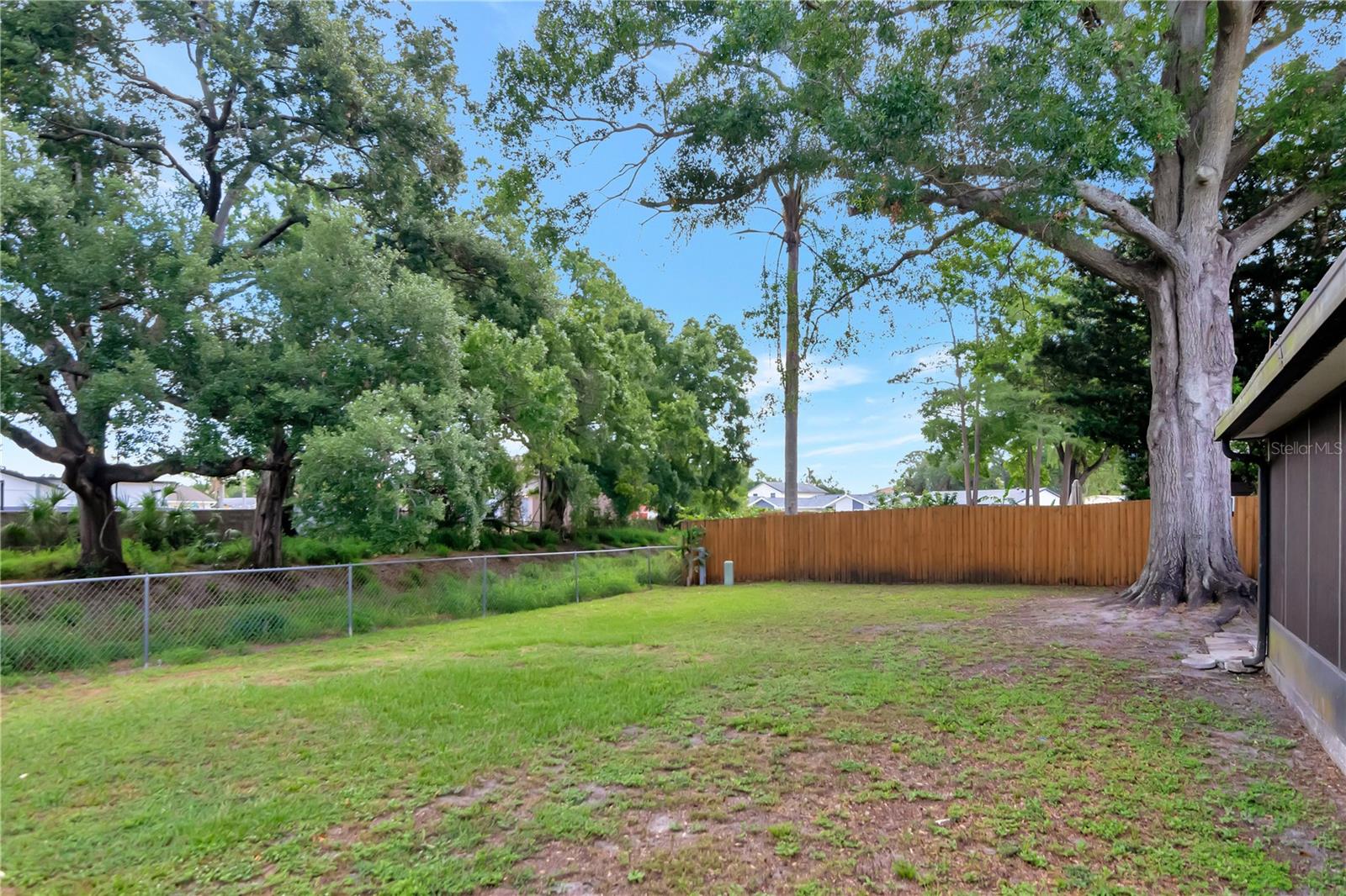 Wide Open Backyard
