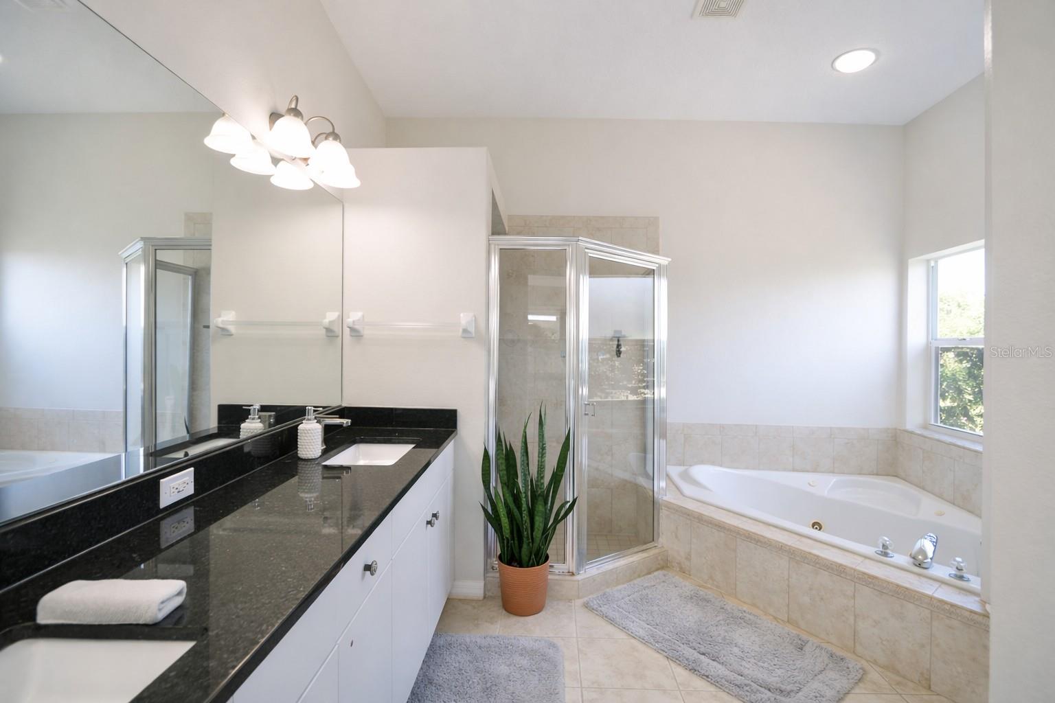 Primary Bath with Jetted Tub and Separate Showerj