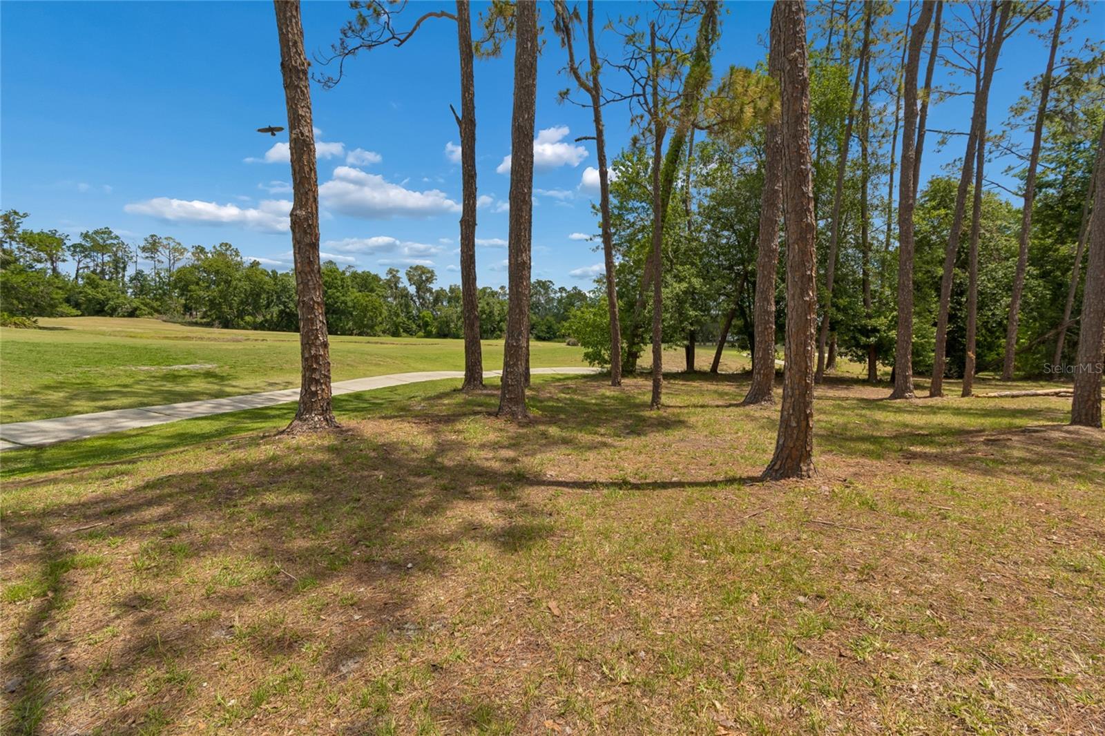 Golf Course Views