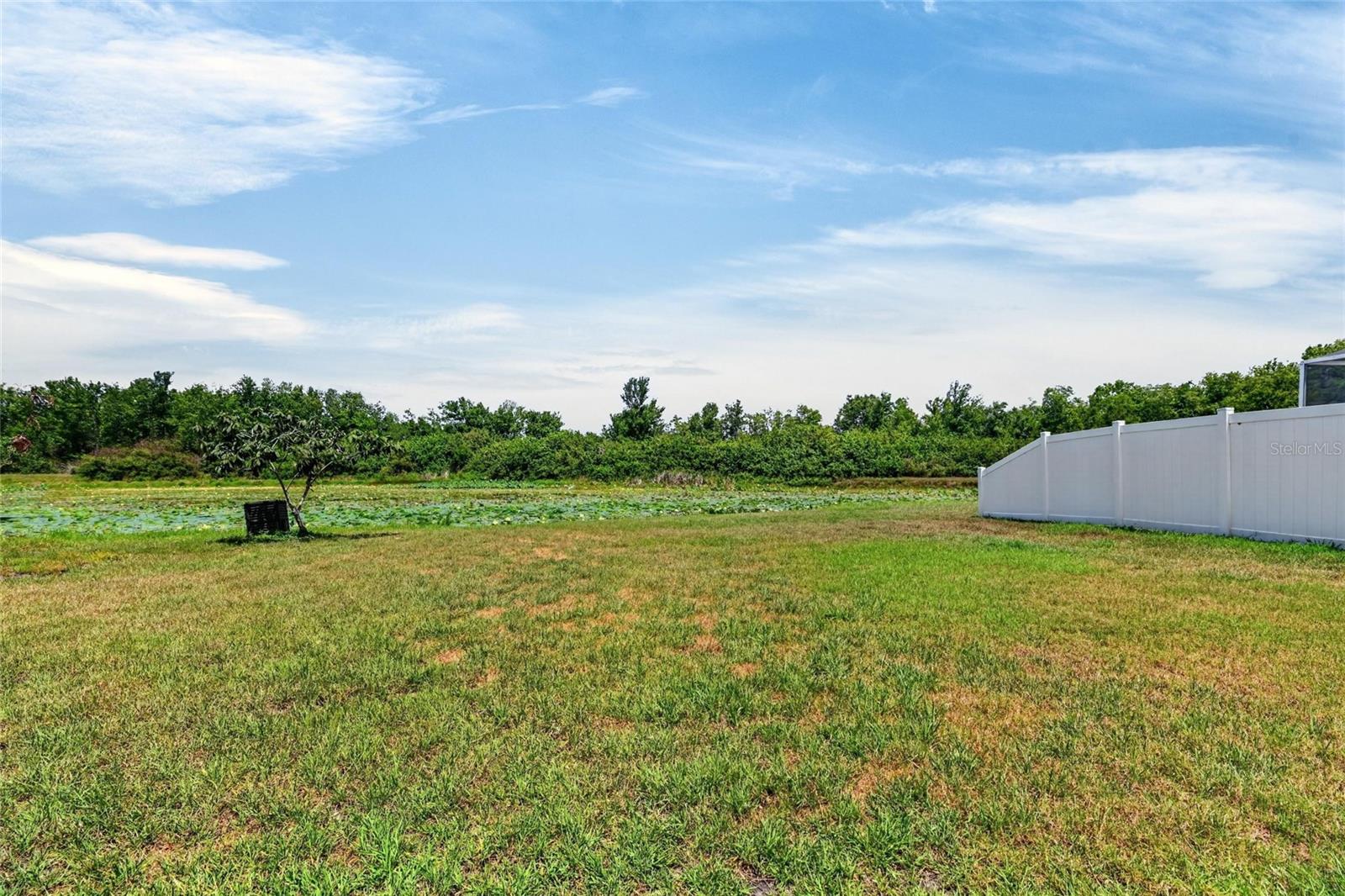 Backyard overlooking pond