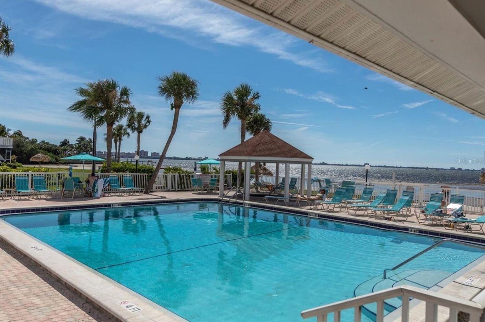 Pool overlooking the Bay