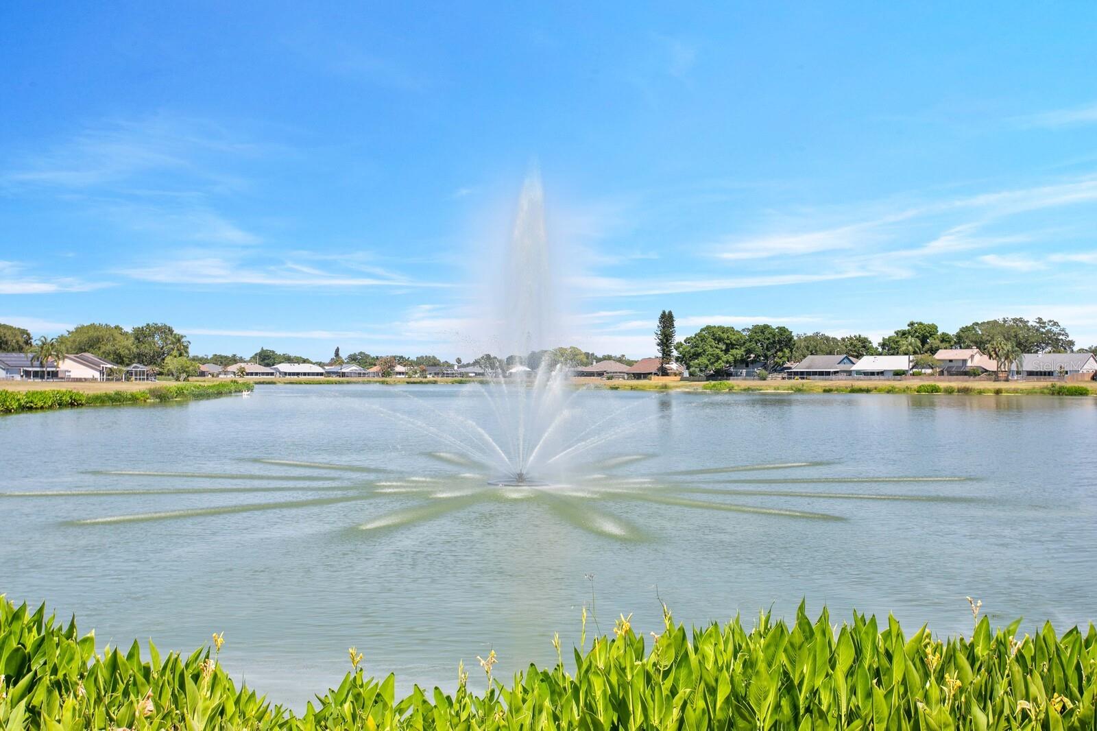 Community lake & fountain