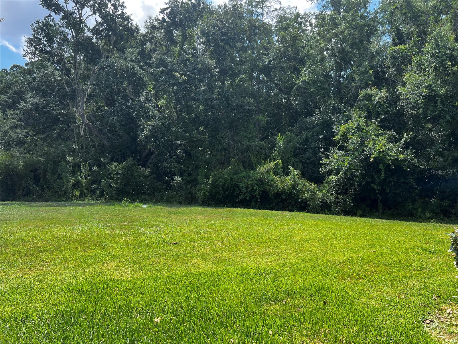 VIEW FROM PATIO