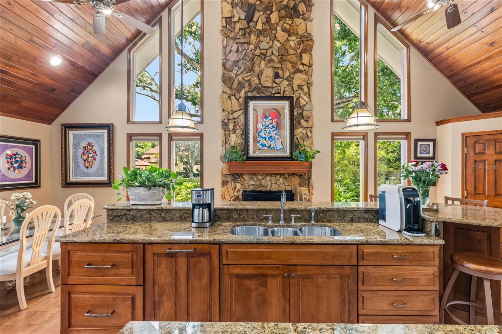 Kitchen Counter
