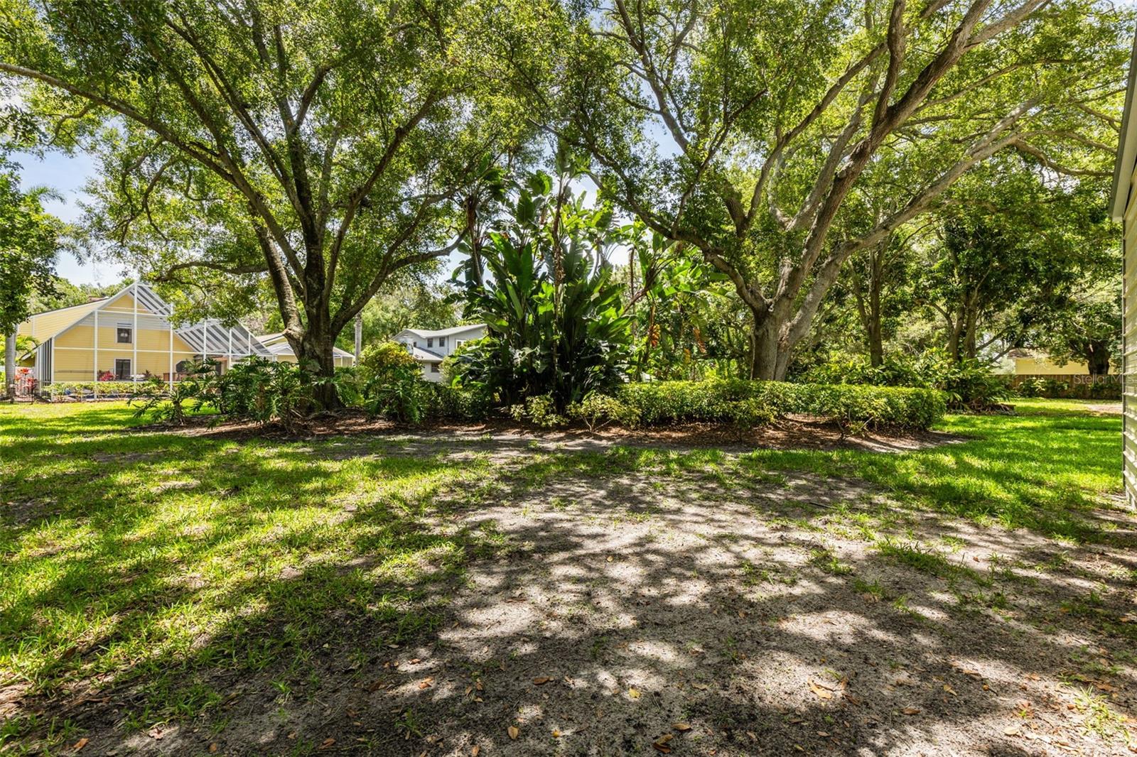 Backyard Shaded Area by Oak Trees