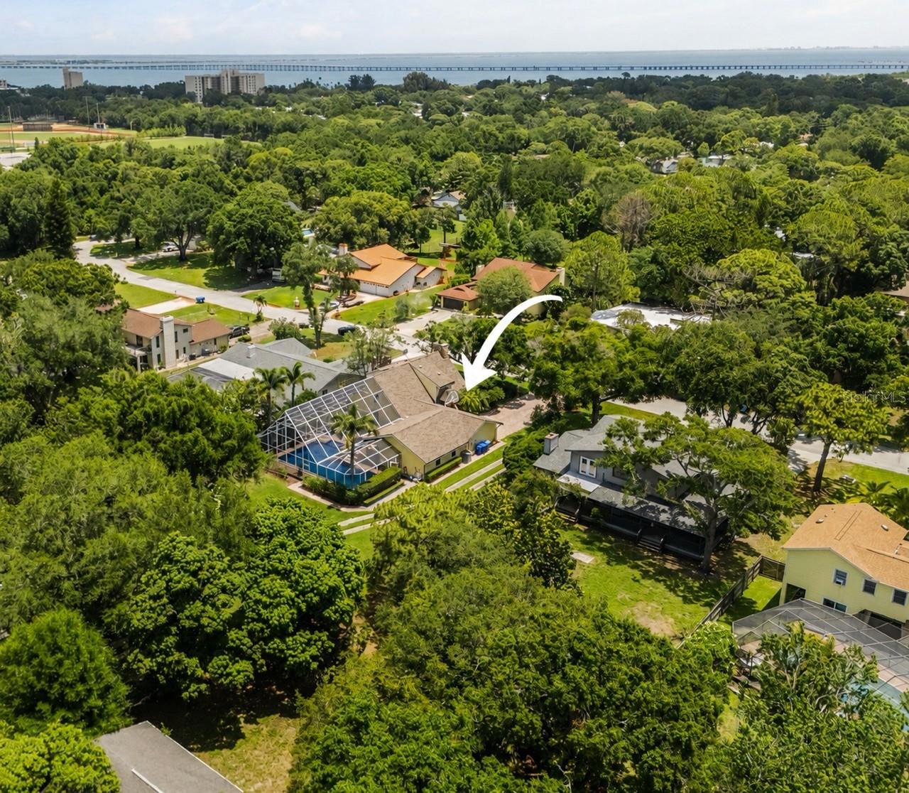Aerial Shot