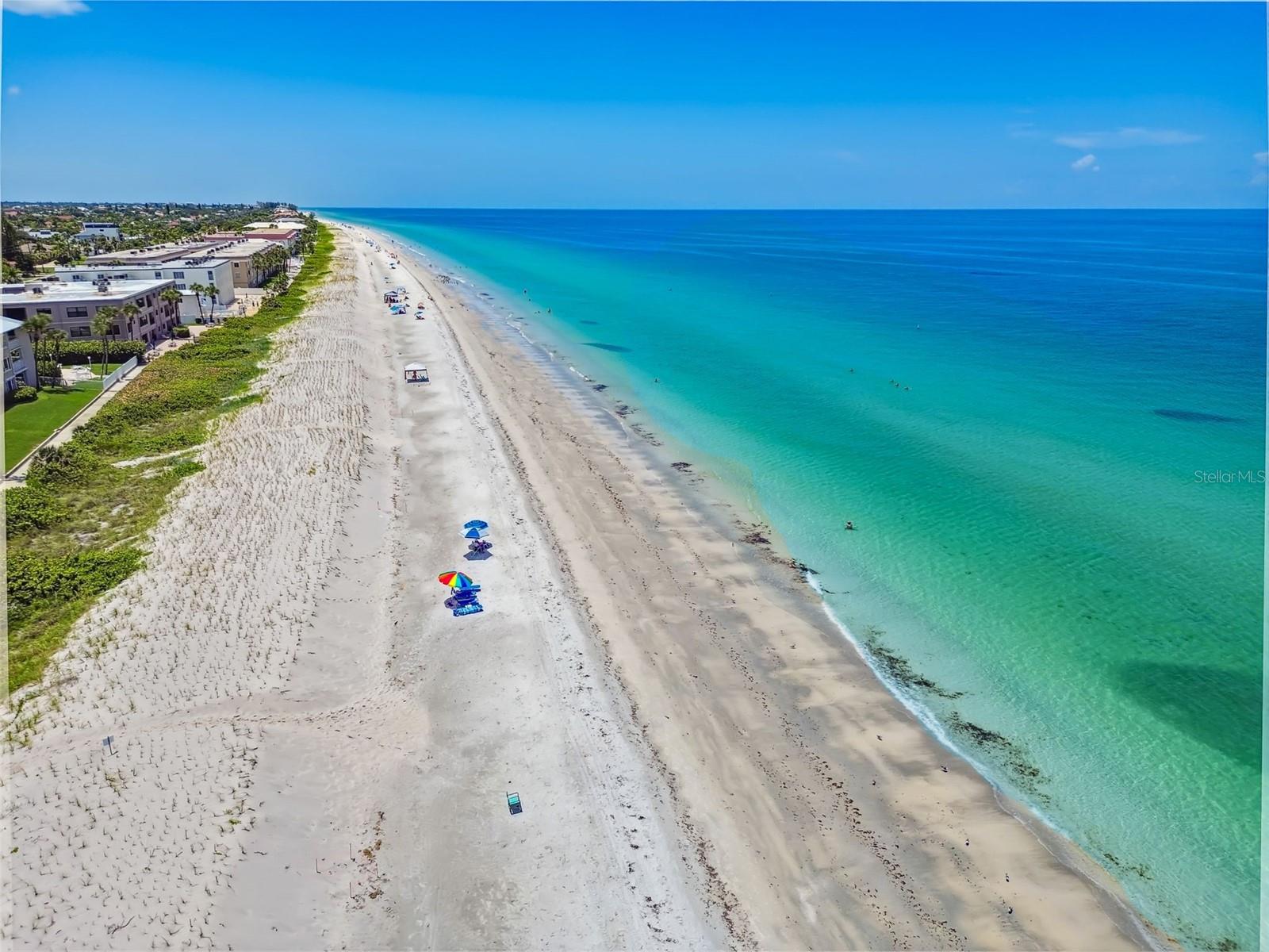 belleair beach