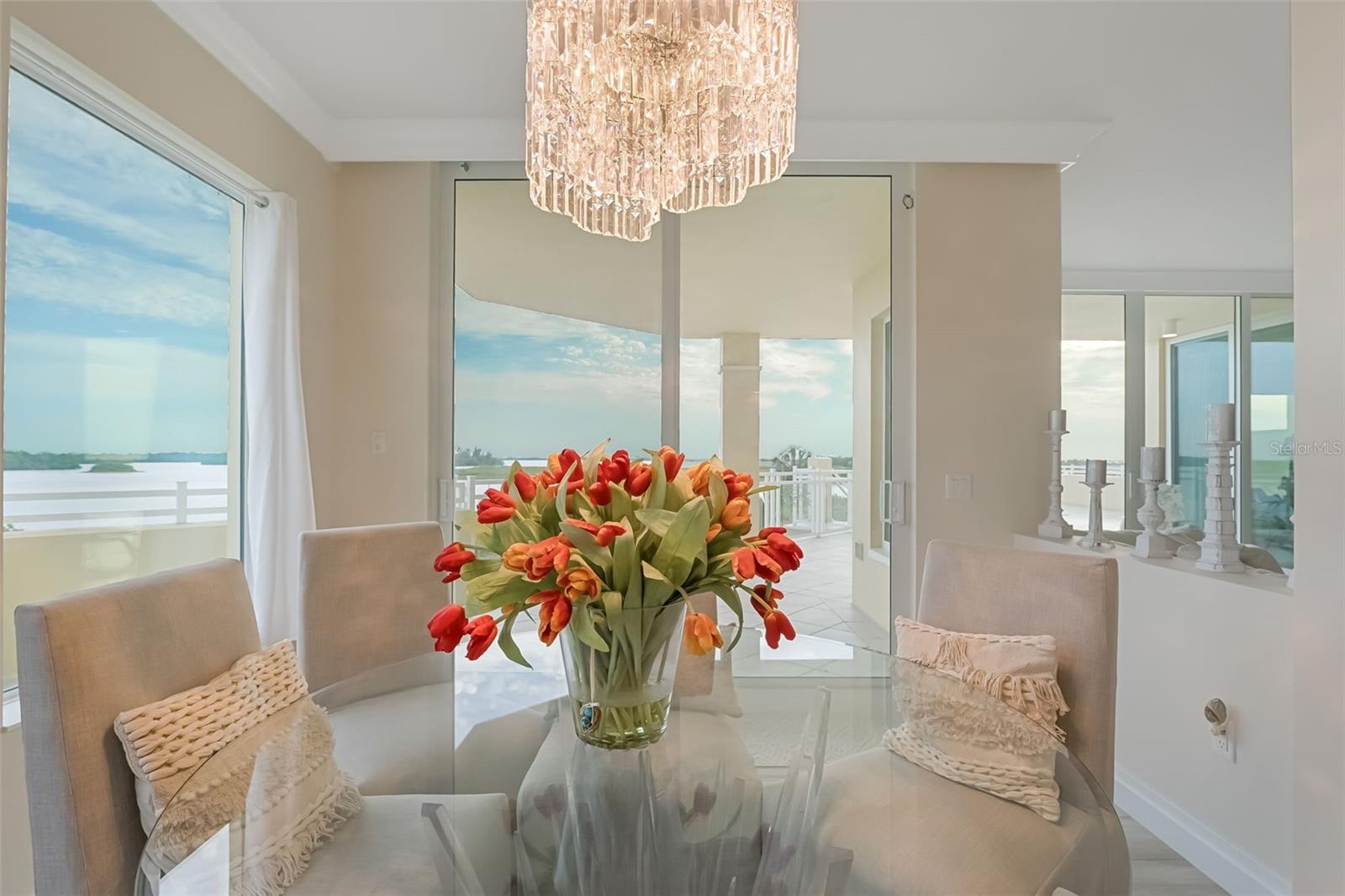 This is a closer look at the impressive chandelier over the dining table