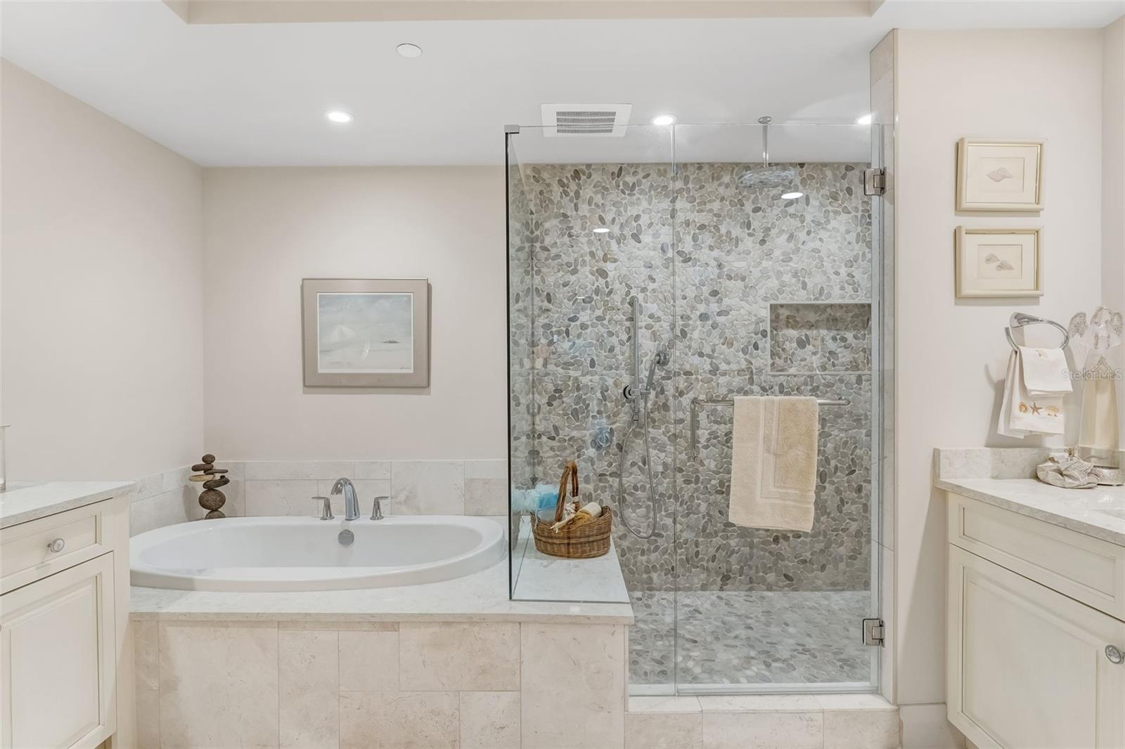 Primary bathroom soaking tub and walk-in shower