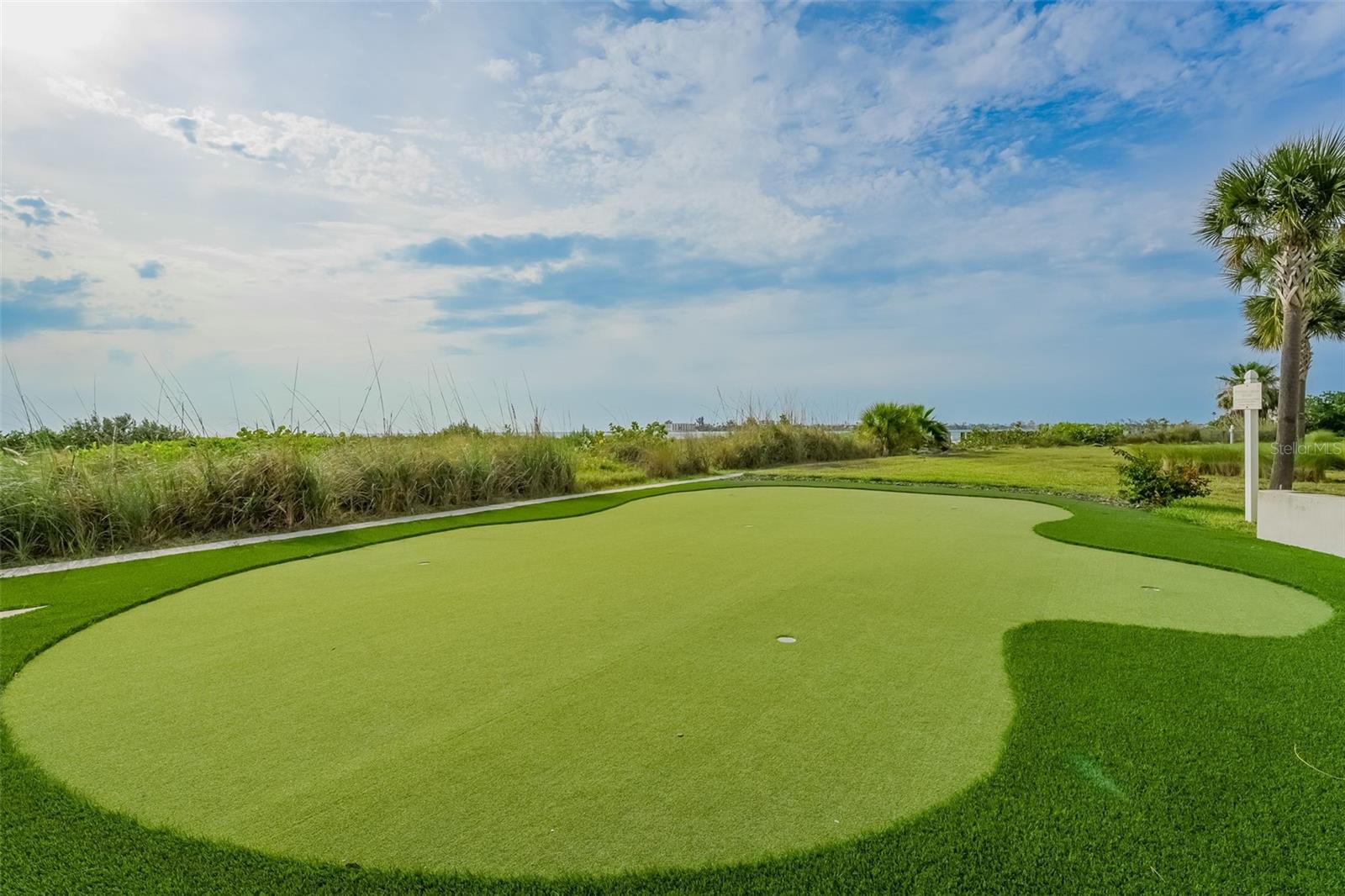 There is a putting green in this gated community