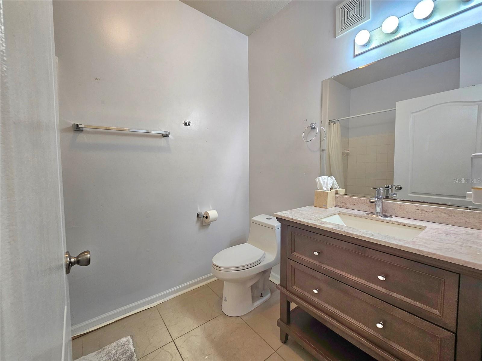 Hall bathroom