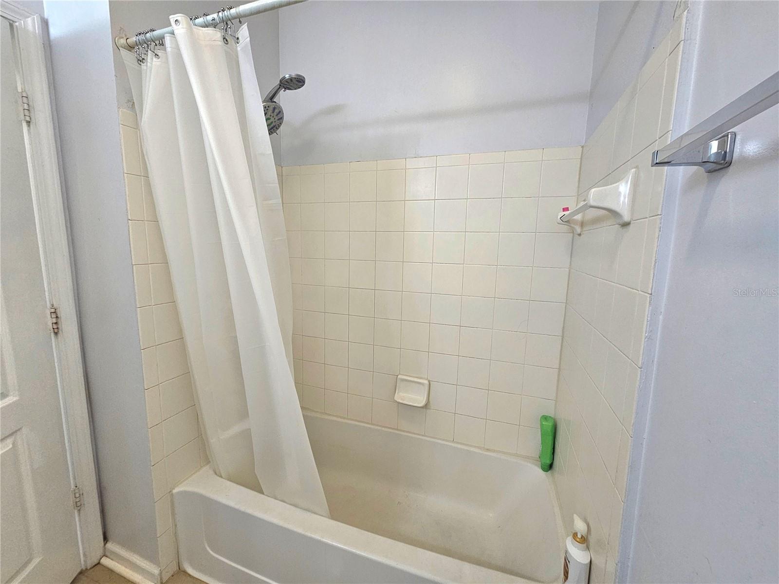 Hall bathroom tub and shower