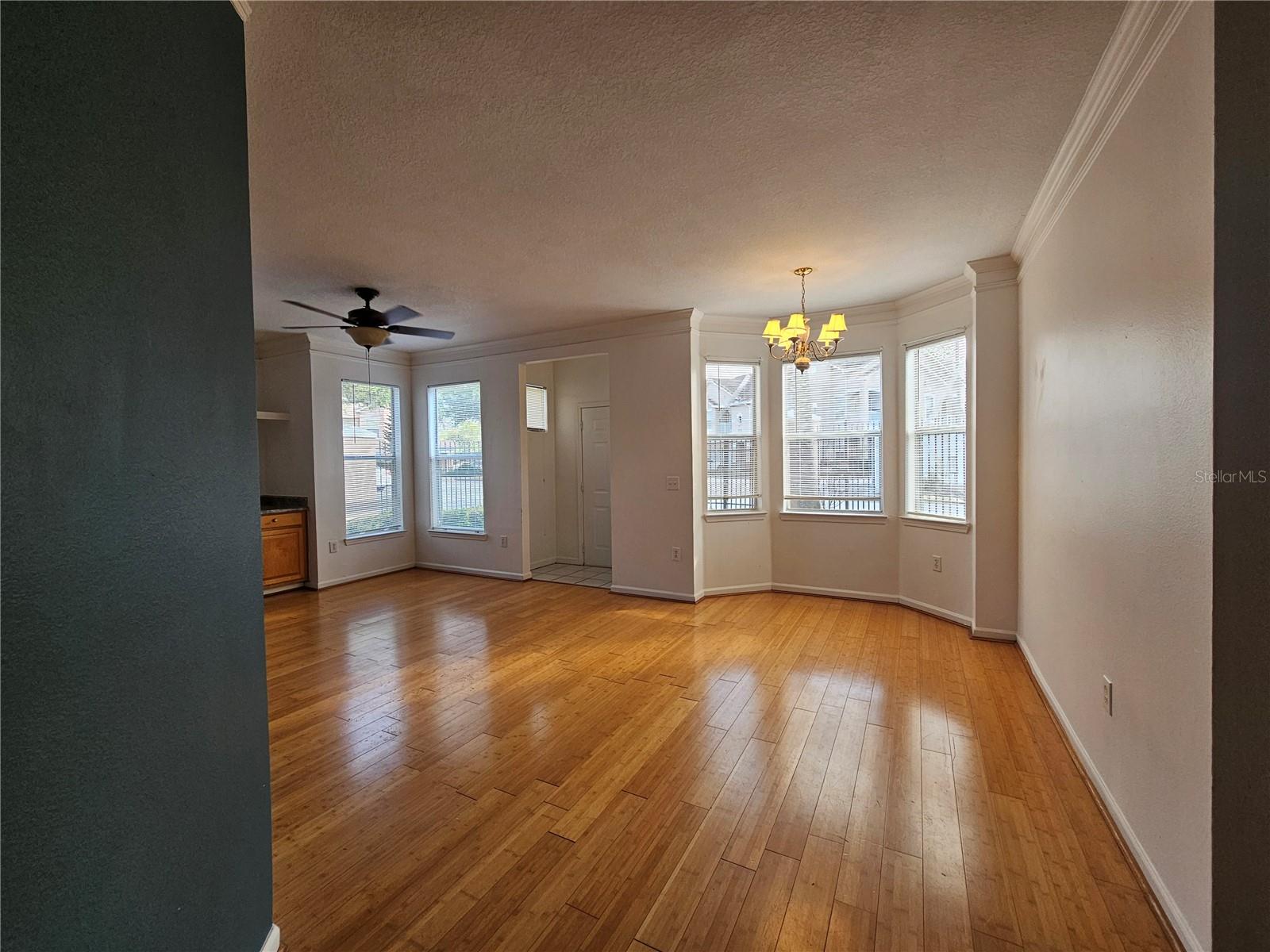 Living/dining room