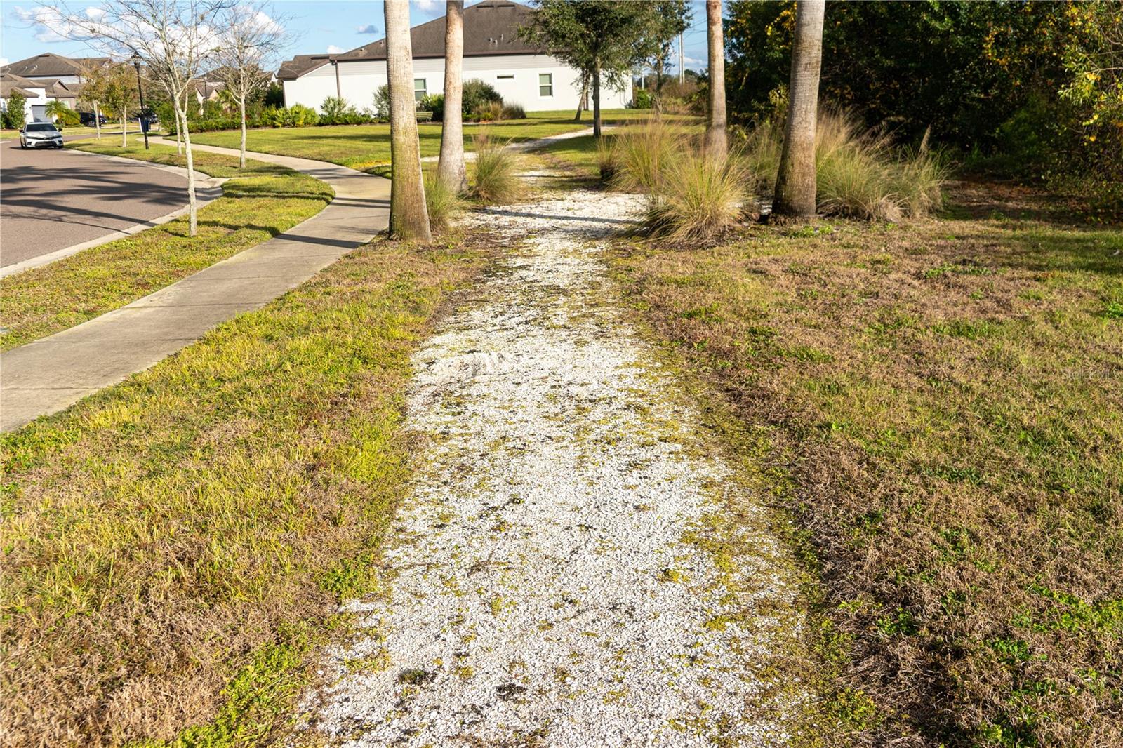 Walking Trails