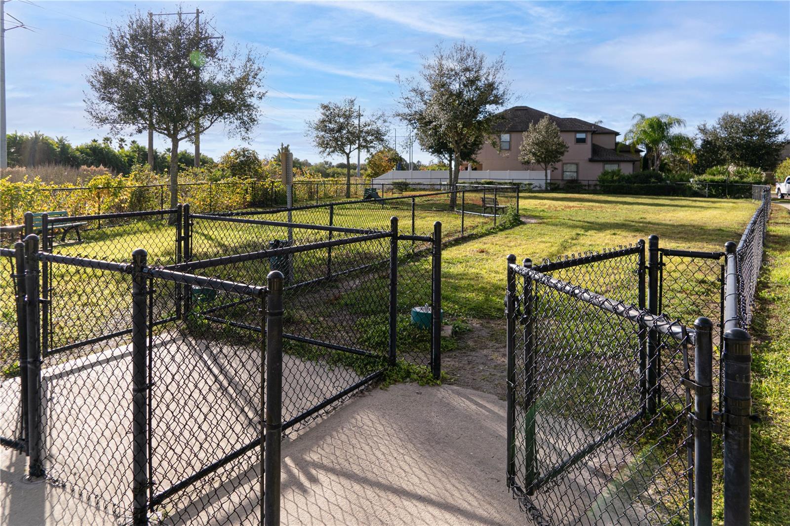 Dog Run