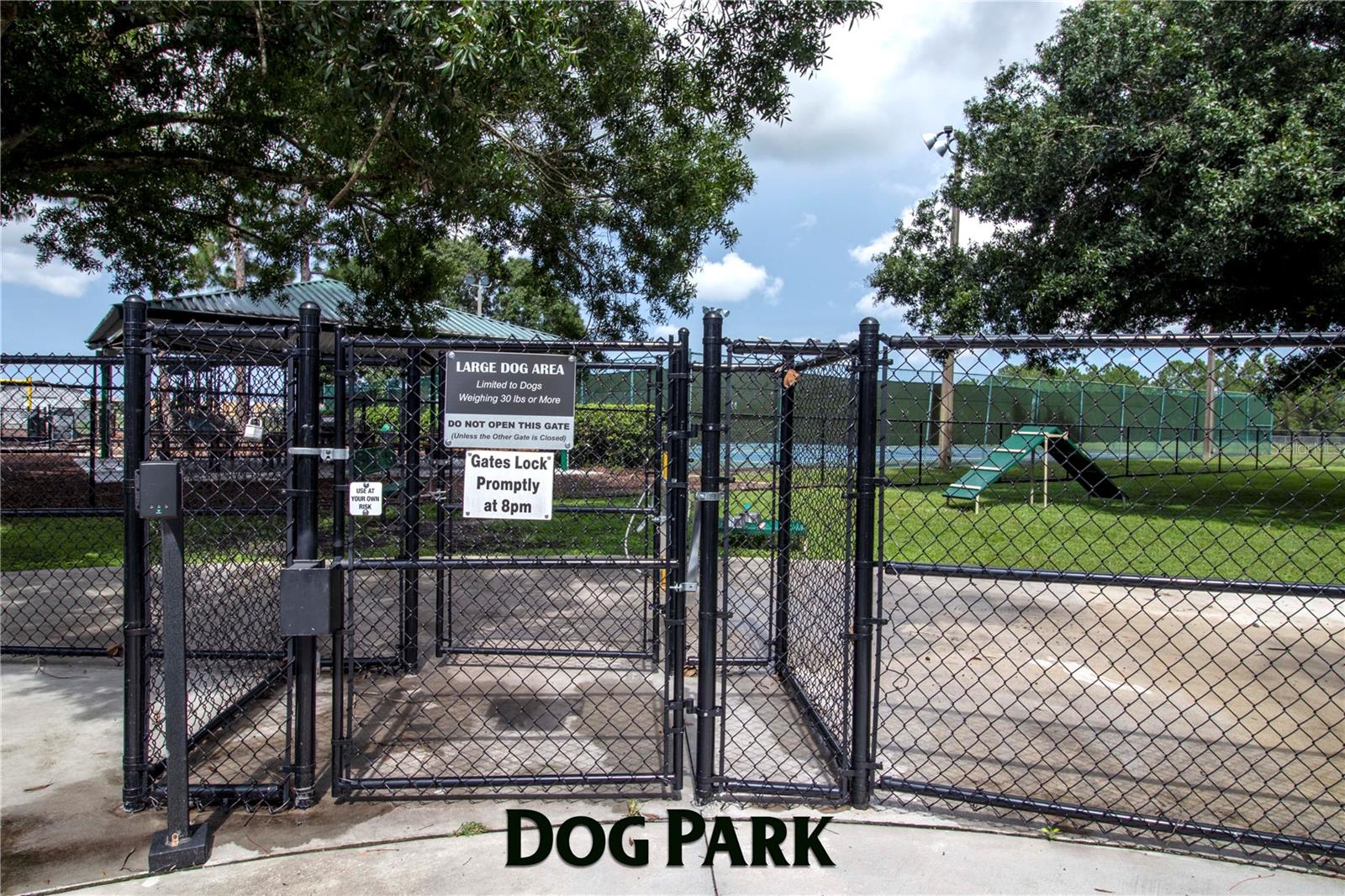 Dog Park