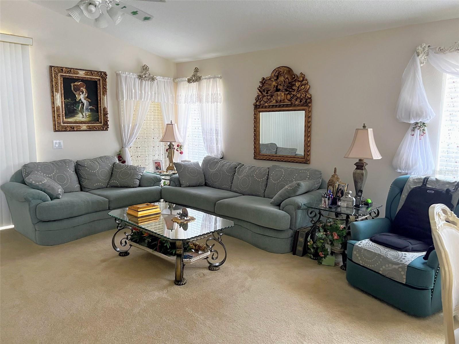Family Room/Living Room Area