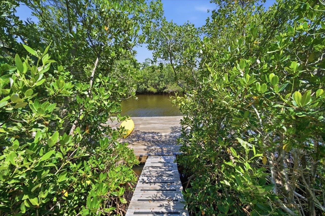 View and walkway to new dock