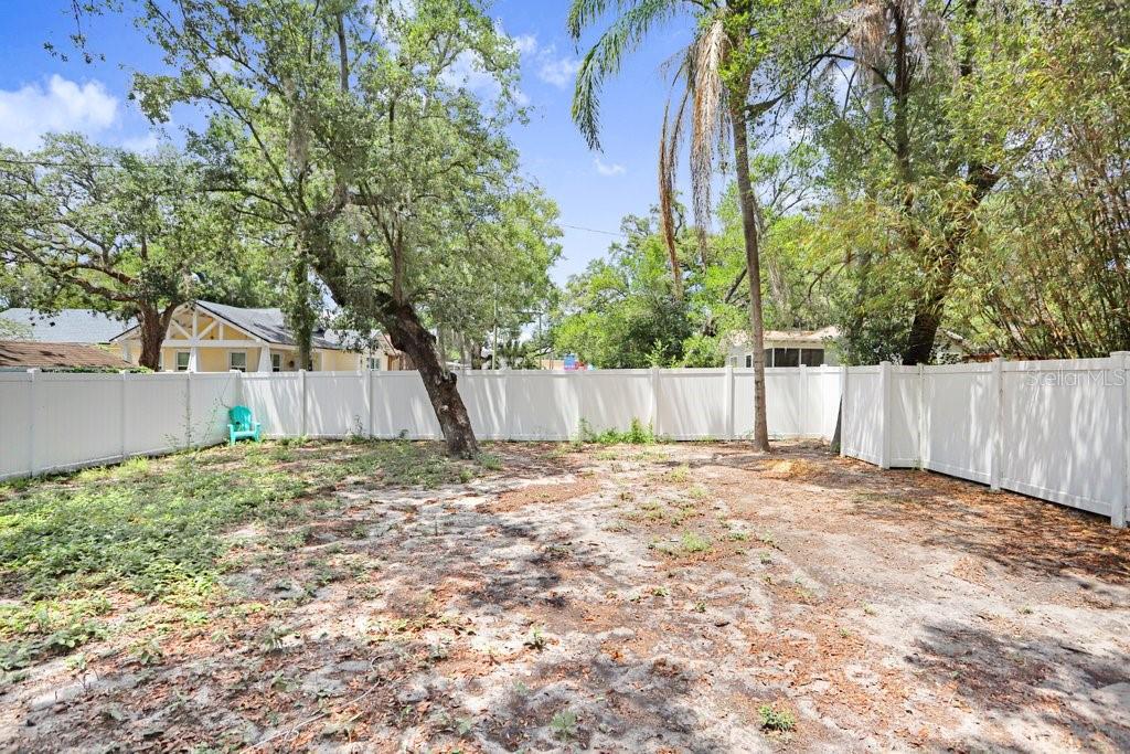 Backyard