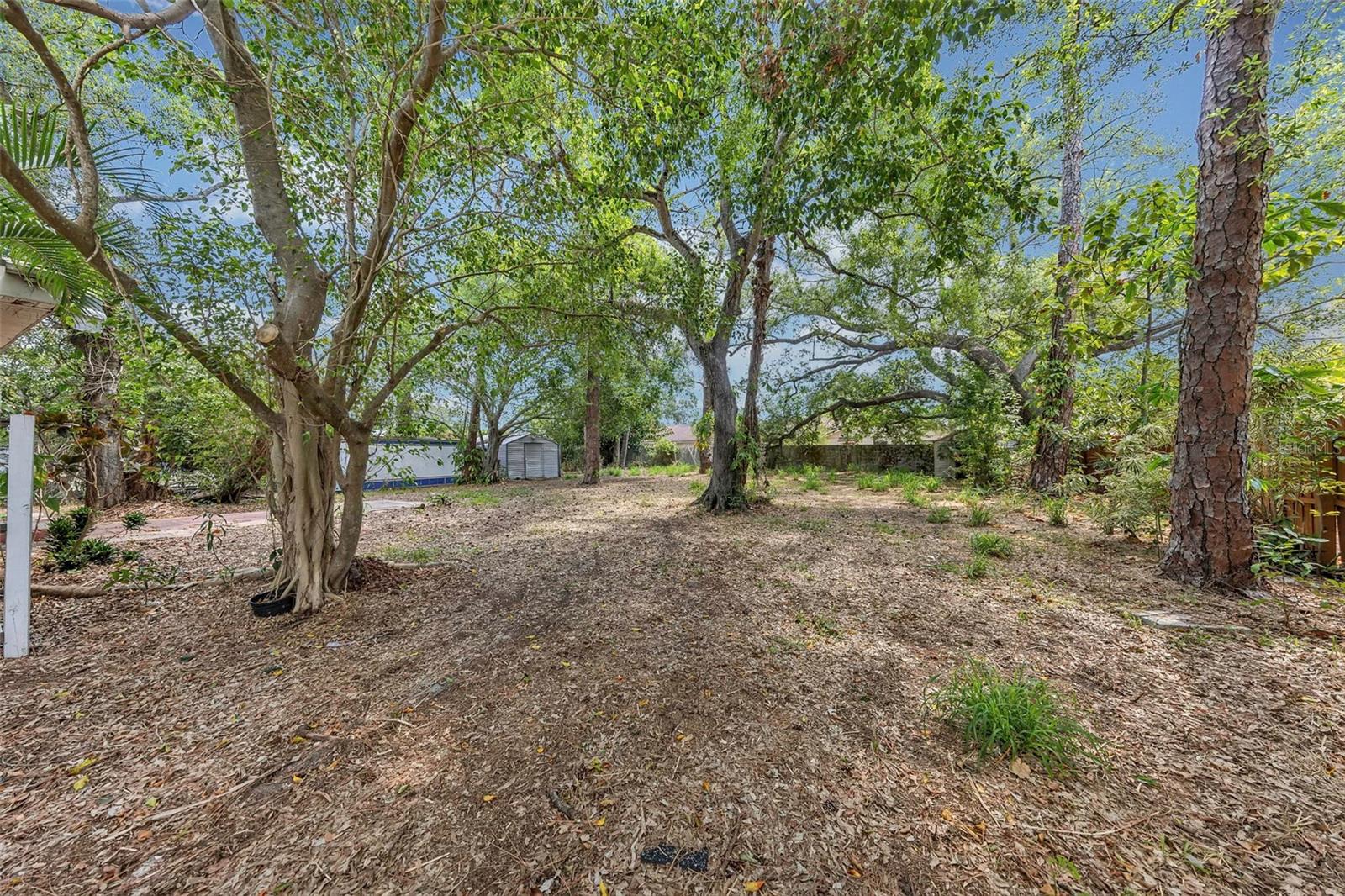 Rear Yard
