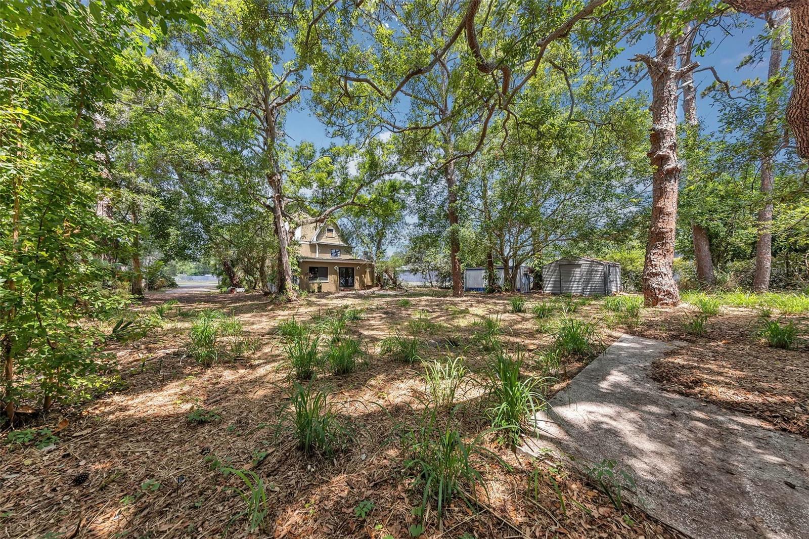 Rear Yard - Reverse View