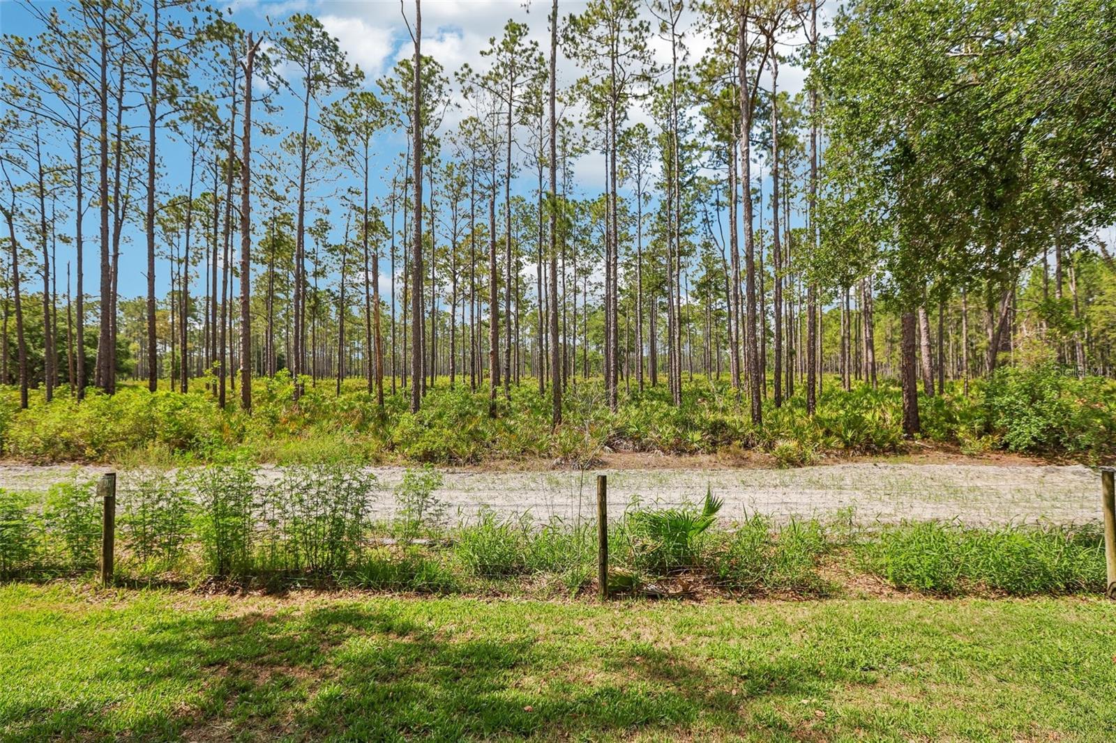 Youe next-door neighbor - Flatwoods Preserve!
