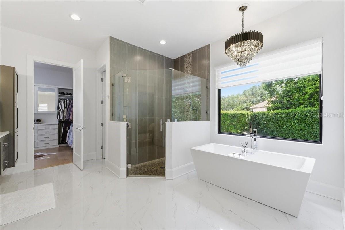 Freestanding Soaking Tub and Walk In Shower