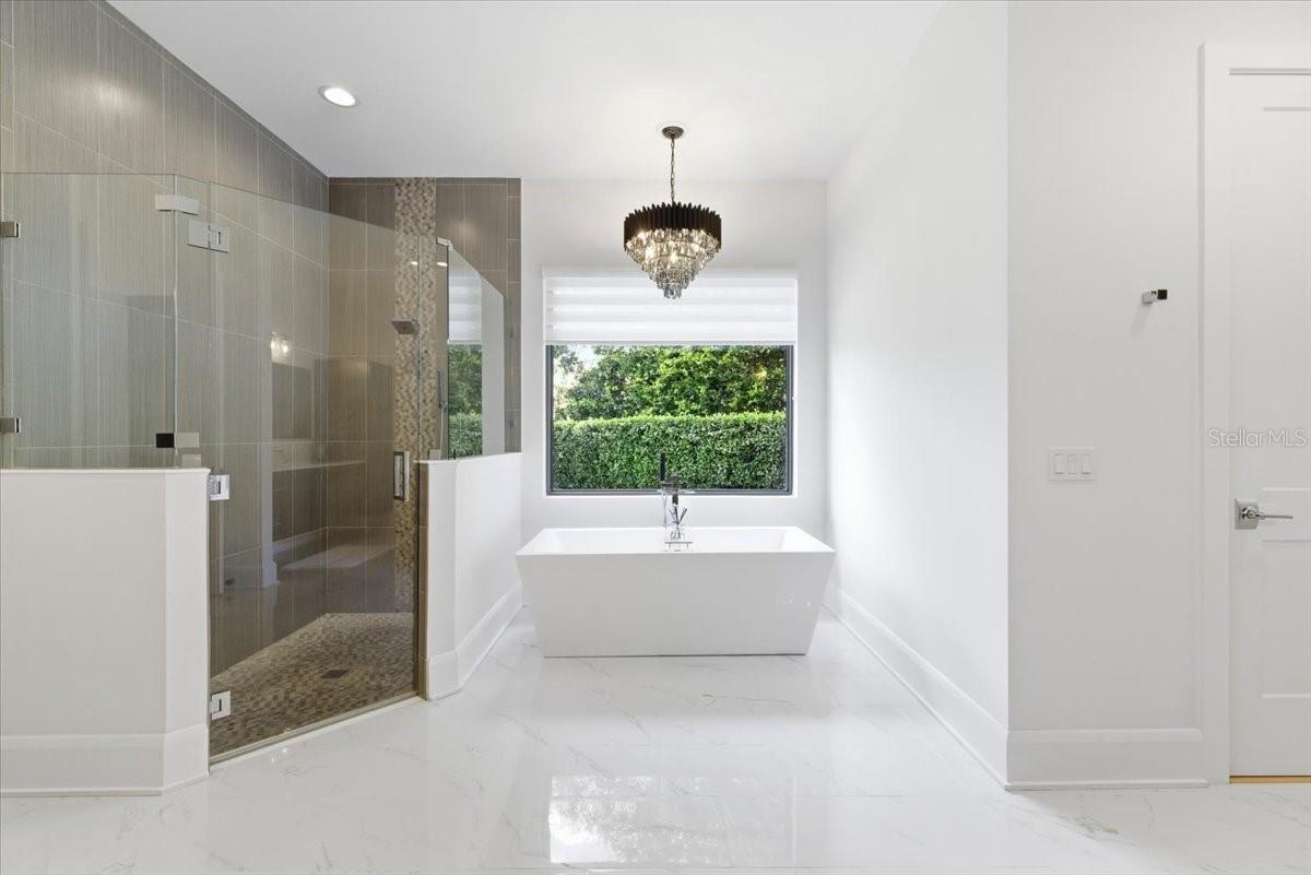 Freestanding Soaking Tub and Walk In Shower