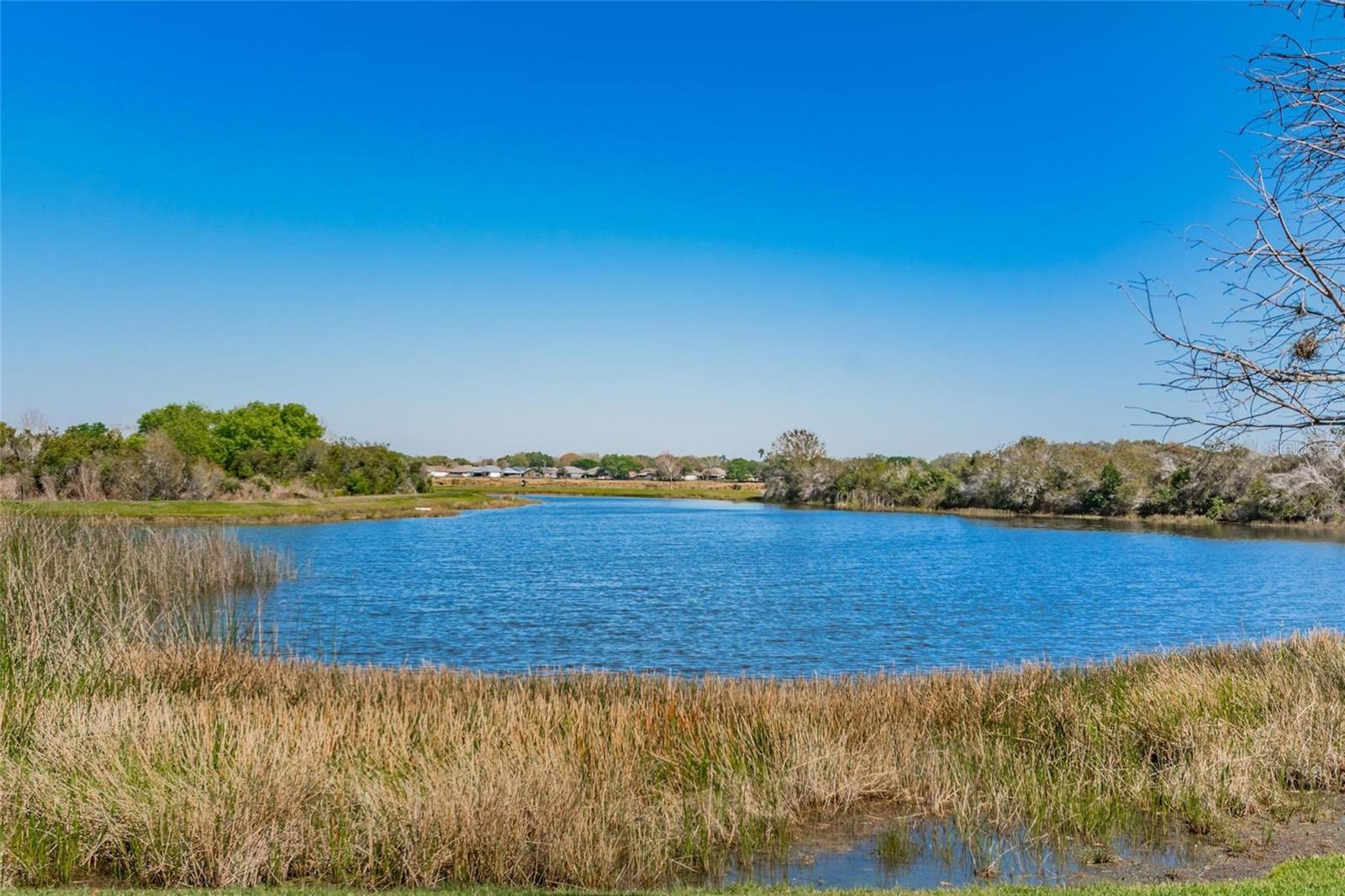 Nearby pond