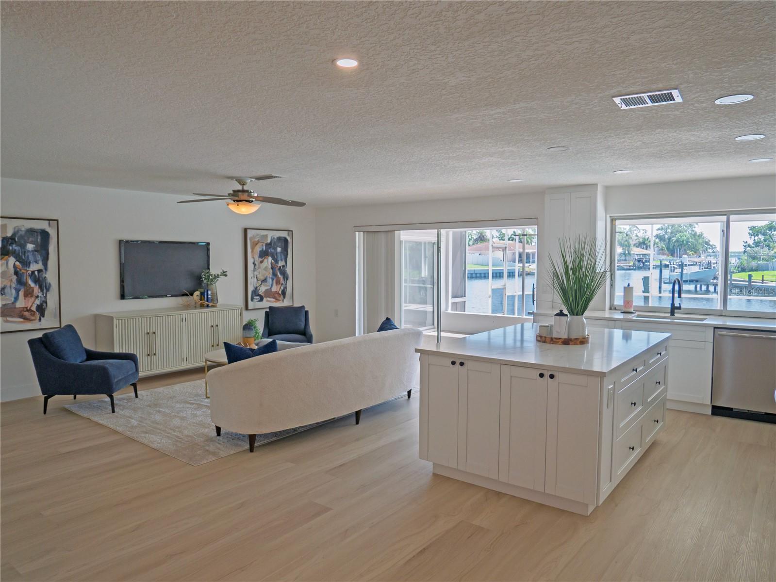Living Room / Kitchen