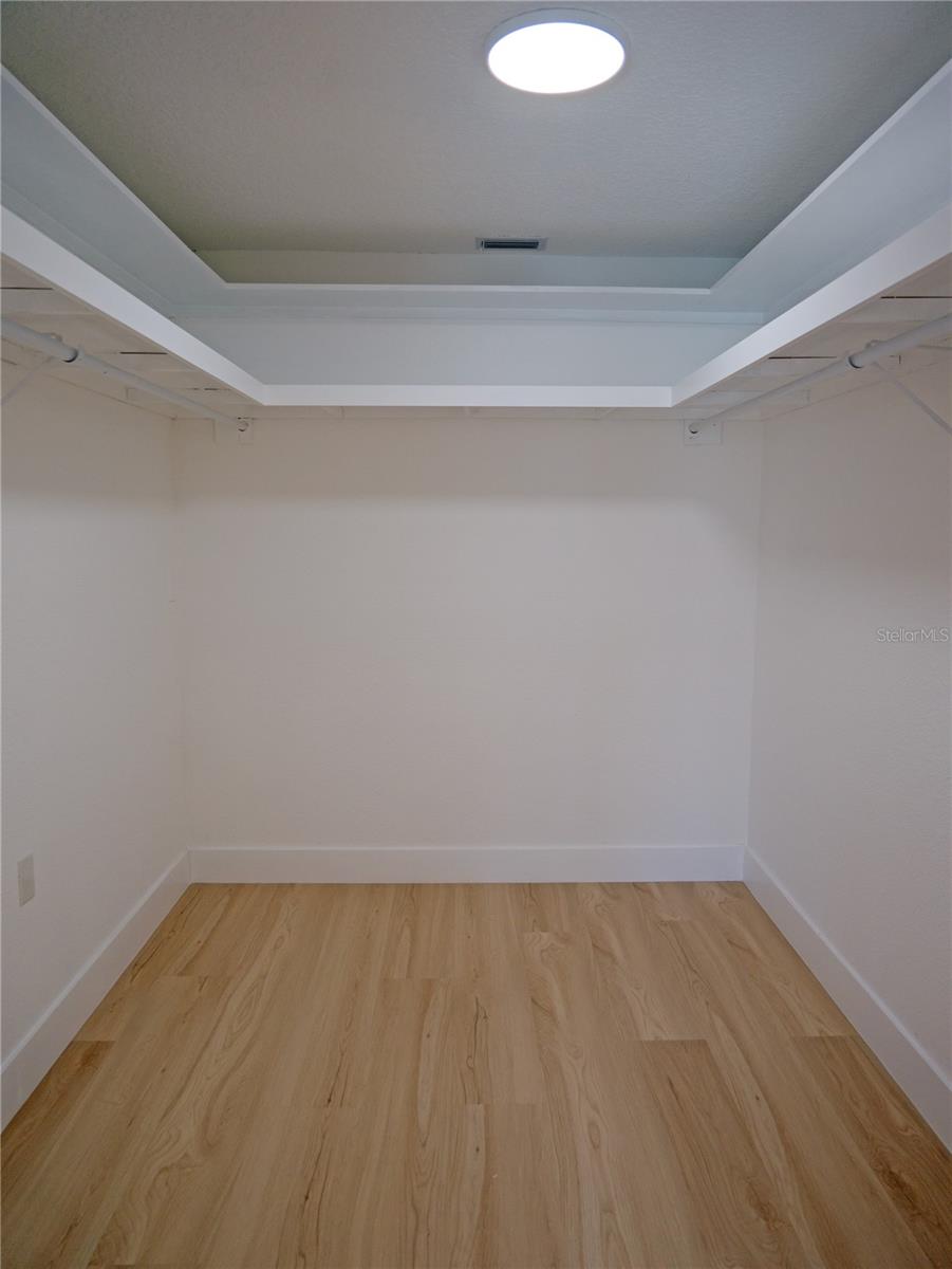 Primary Walk-in Closet #1