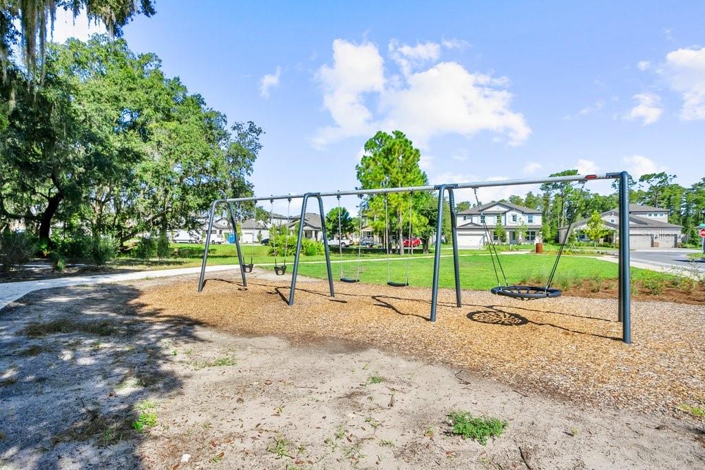 Swings in Park