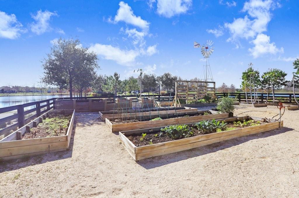 Community Garden