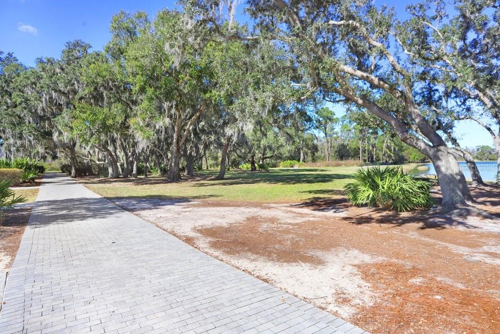Walking Trail