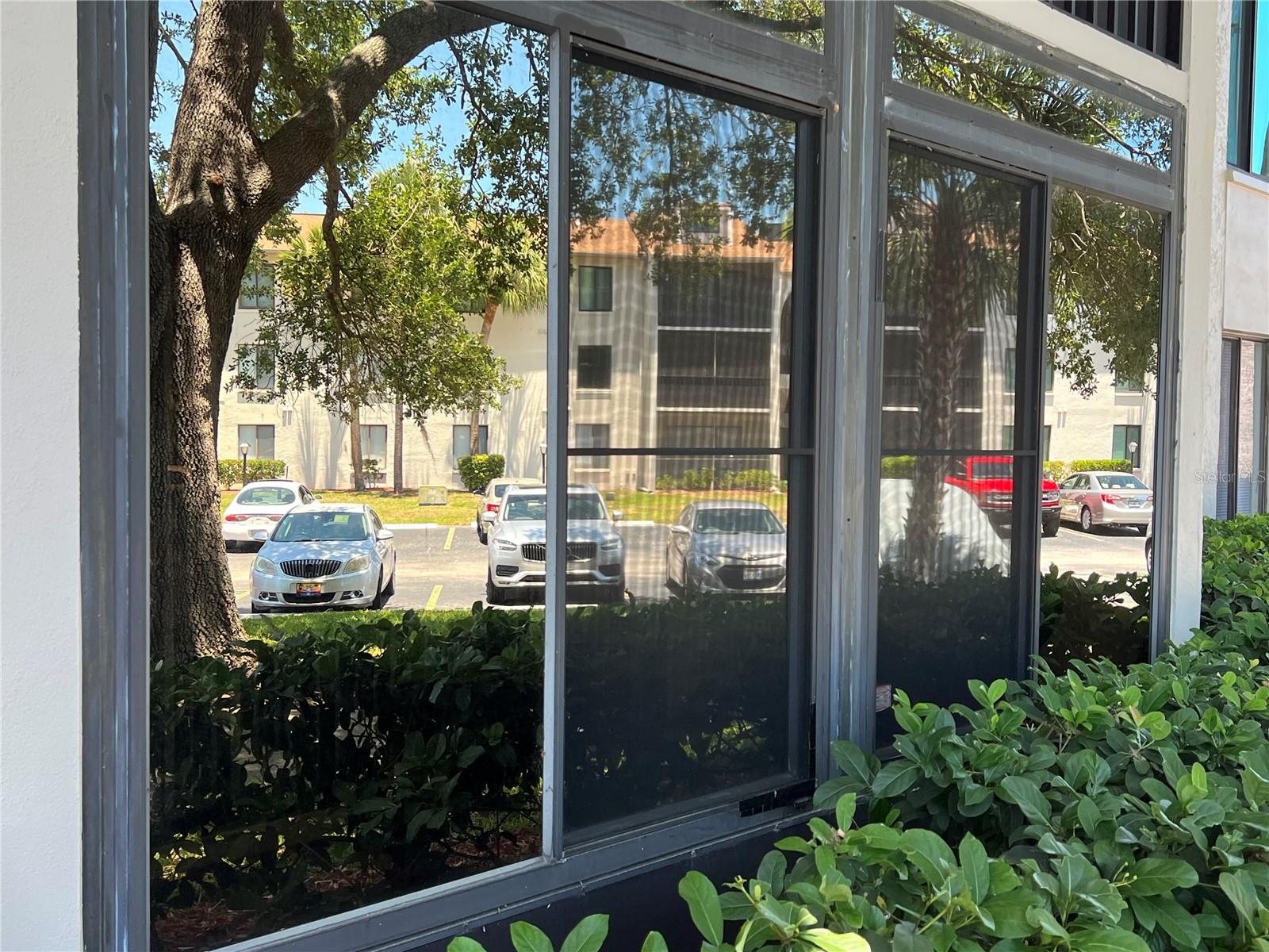 FRONT WINDOWS OF LANAI