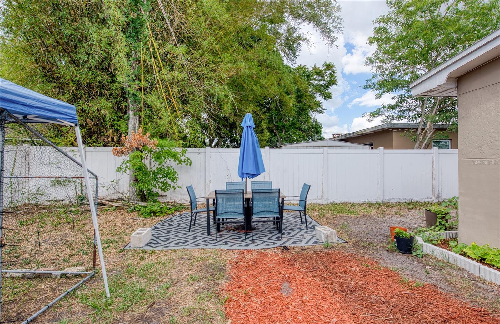 Spacious Backyard