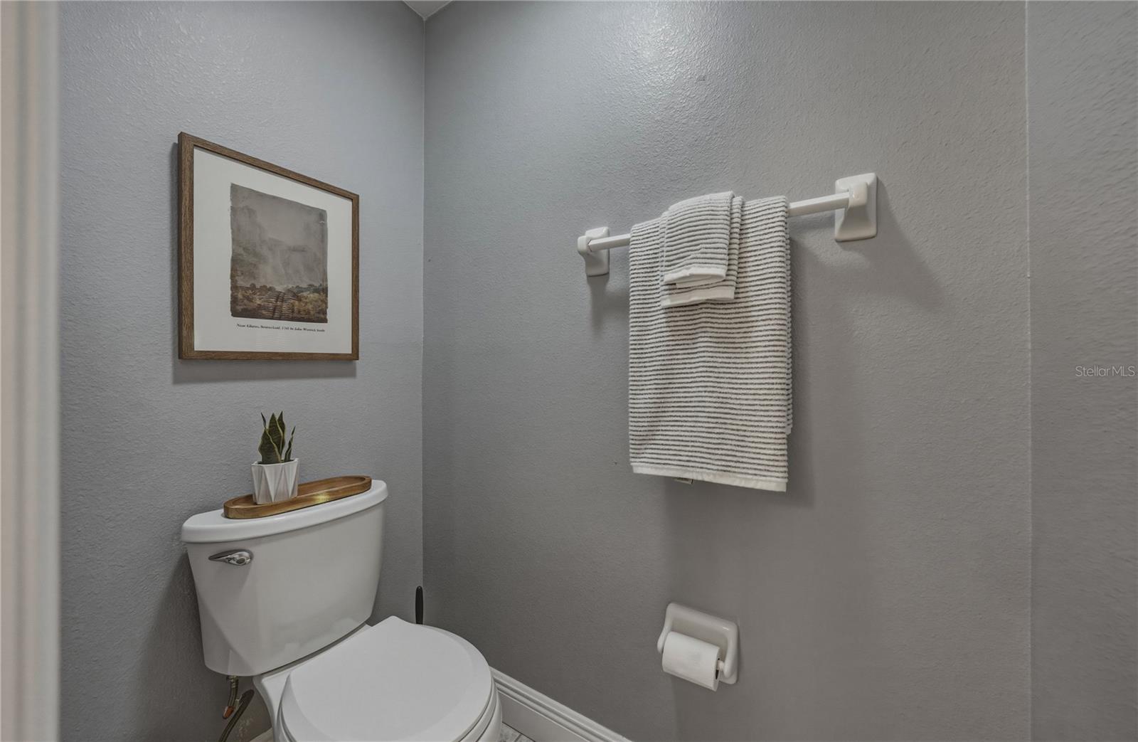 Primary Bath Toilet Room