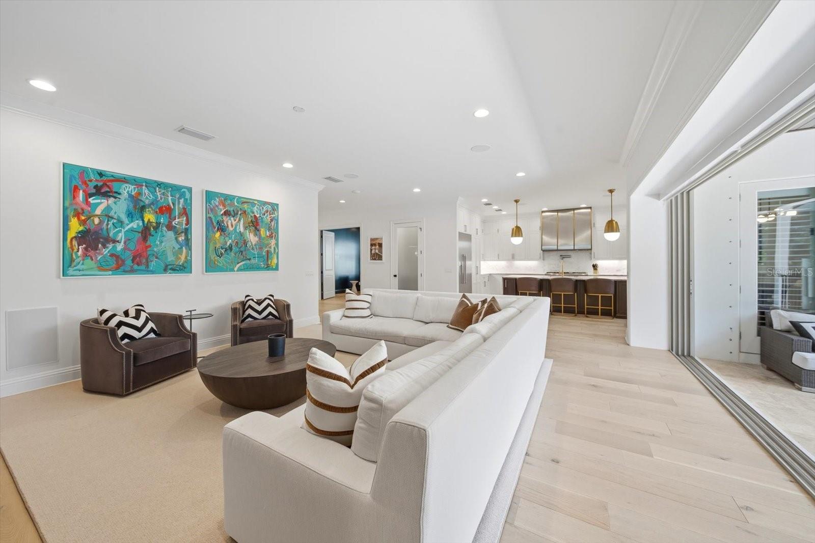 additional pictures of living room