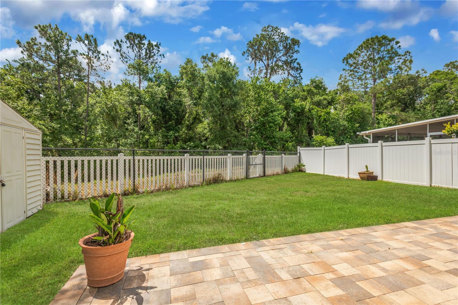 Digitally Enhanced Lawn in photo