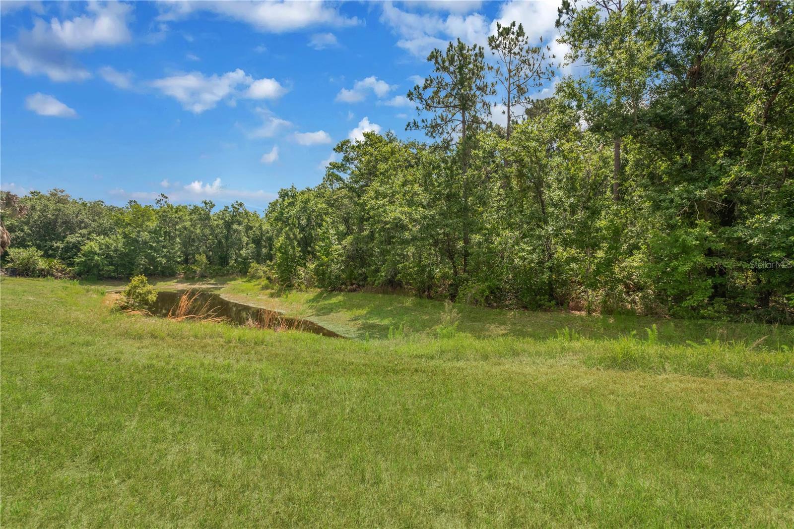 Conservation and Pond behind Backyard. Digitally Enhanced Conservation Grass and Pond in this photo