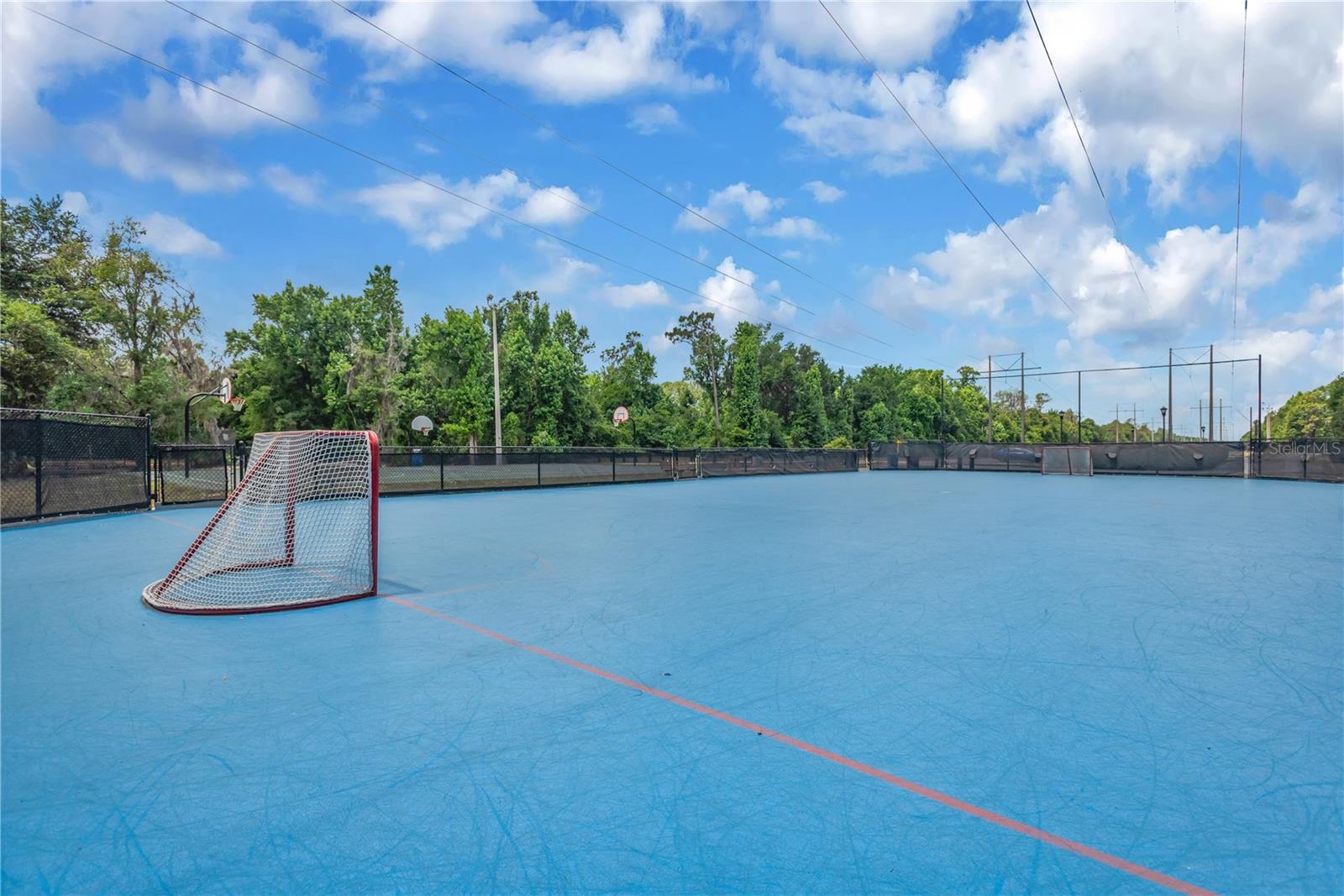 Hawks Park Roller Hockey Rink