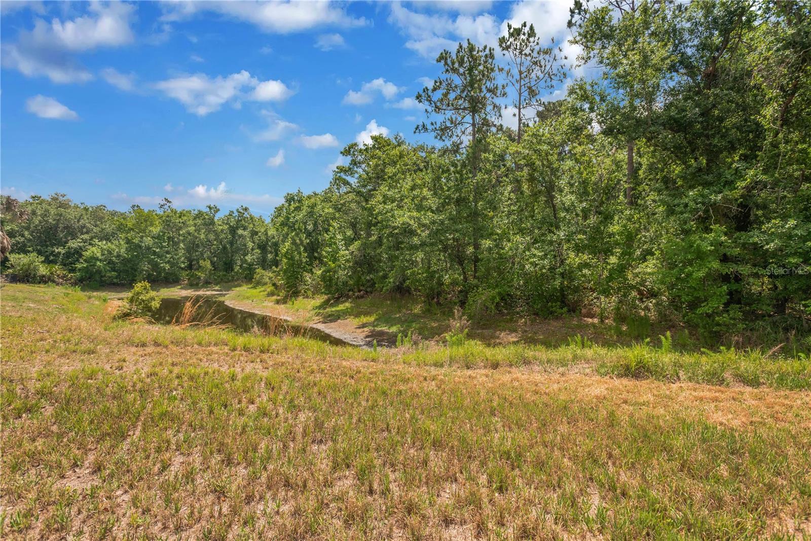 Conservation Grass and Pond water levels low due to current drought conditions